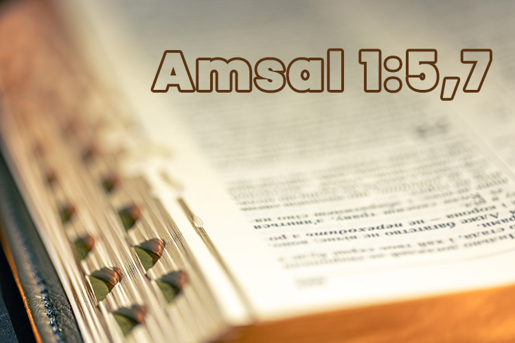 Menjadi Bijak dengan Belajar Sepanjang Hidup: Hikmat dari Amsal